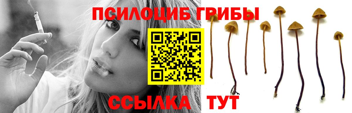 Псилоцибиновые грибы Cubensis Чебоксары